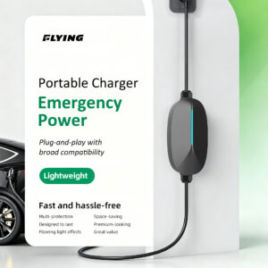 AC Portable Charger-S01