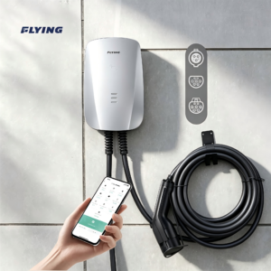 FLYING - Silver Wing Home Charger